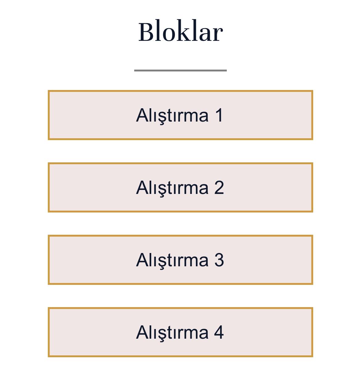 Başlangıç Seviye/A1 Kelime Dağarcığı (6 aylık erişim) - Görsel 2
