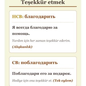 A1, A2, B1 eğitim kartları, 3lü set (6 aylık erişim)